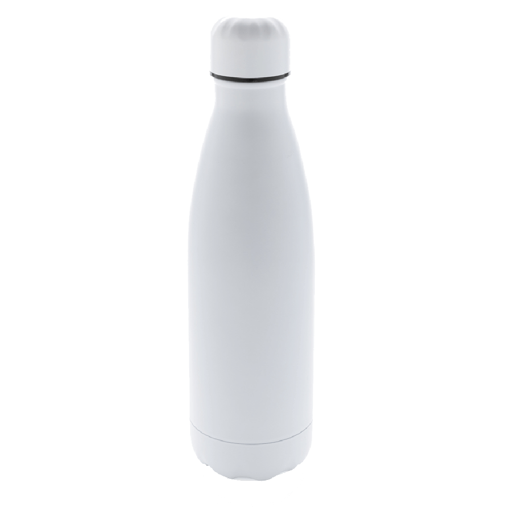 Stainless Steel Bottle